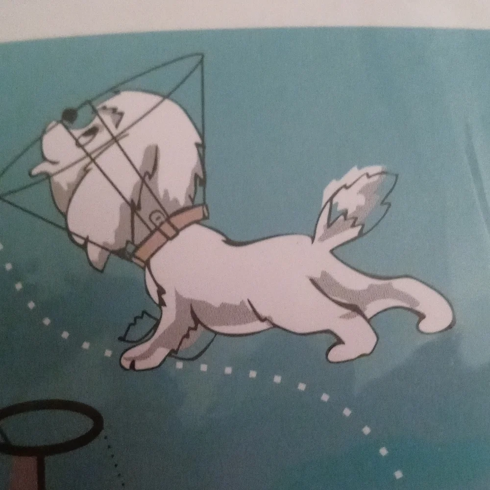 Pet protection cover mintcat